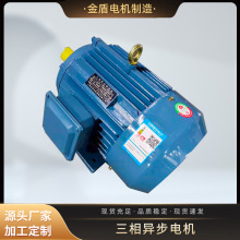 YE3ϵ첽綯YE3-315M-6 90KW 6첽