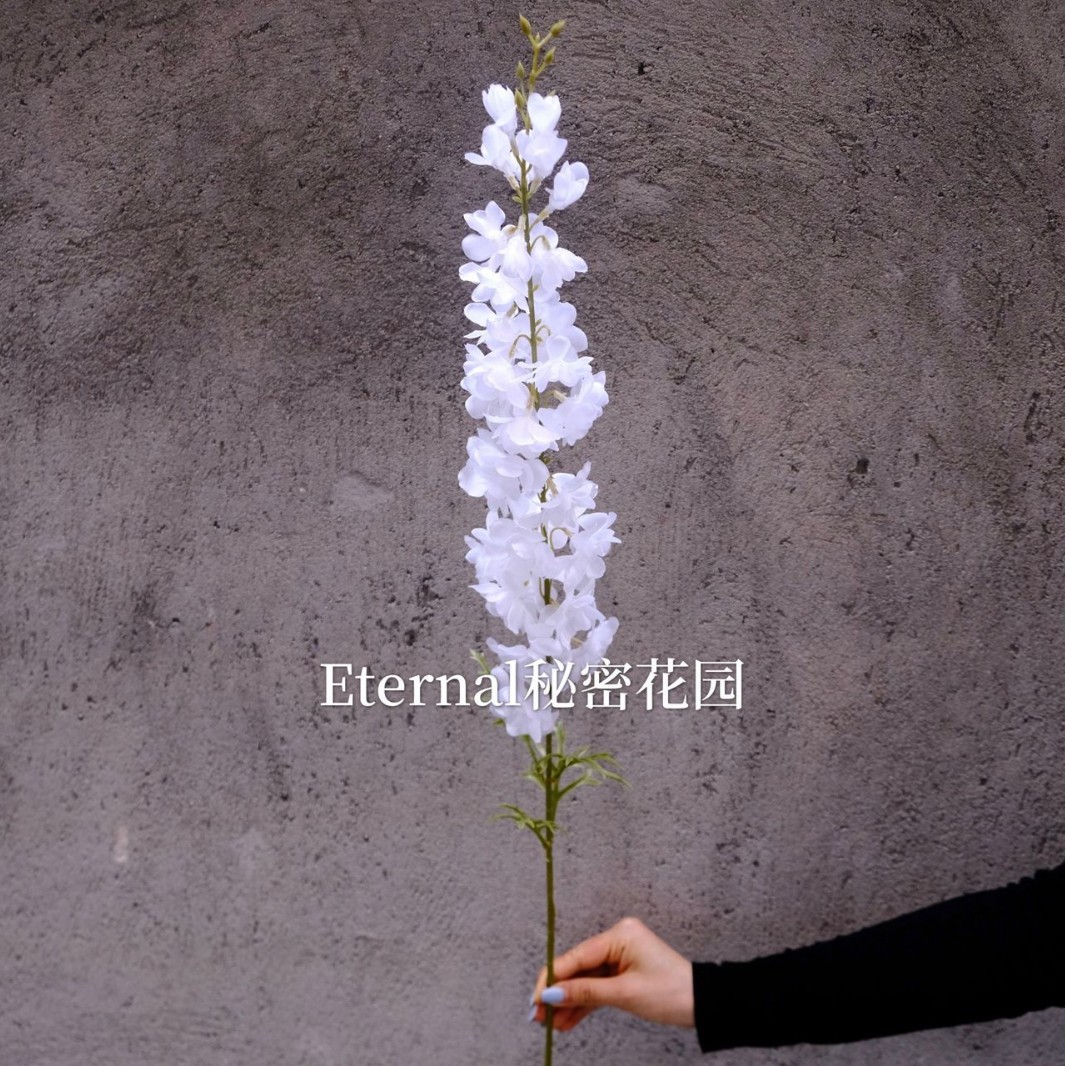 작은 제비
