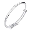 Z113 (Silver Silver)