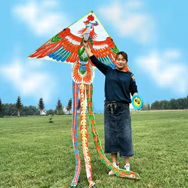 风筝;玻璃钢