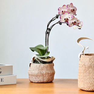 ��ʽ�¾�������͹��پ������m��������ݾ��Gֲ���ԼҾ��b���