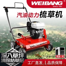 �S����ݙCWB486CRH��ƺ��ݙC����GX160������ƺ��ͨ�CеWEIBANG