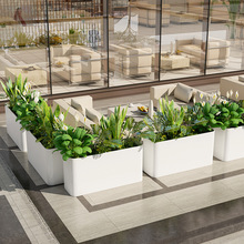 ���ⲻ�P����ʻ���ͥԺ���������̨�Fˇ���ڷNֲ���L���λ���