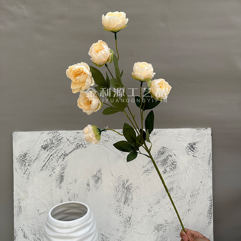 Champagne exquisite peony