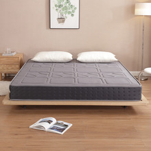 22cm|ʯīϩ޲Ӻ1.21.51.8Ҭش|