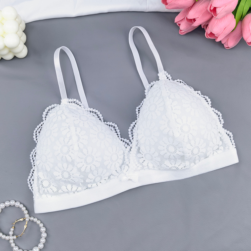 Europa y América de encaje sexy copa triangular francesa cabra hermosa ropa interior de espalda simple y ligera sin anillo de acero para estudiantes sujetadores de pecho