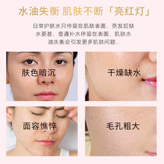 Titian Damascus Rose Hydrosol Summer Hydrating, Moisturizing and Brightening Skin Wet Compress 500ml Toner Wholesale