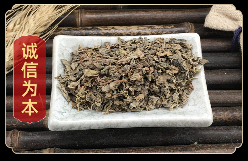 Luo Bu Ma Tea Apocynum Leaf Pearled Loose Leaf 500g Xinjiang Yuli Specialty Natural Sun Dried in use