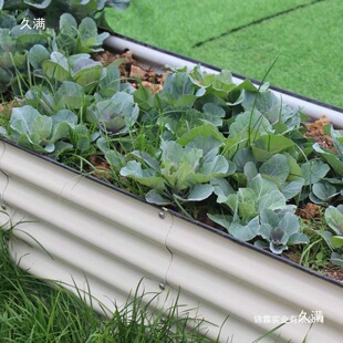 ���ٻ��@�������N�˷Nֲ���˴�����ͥԺ�̨�Ƅ����⻨�仨�۲�