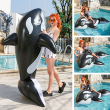 PVC��⸡���L�~���� ˮ�ϵ������L���T��ͯˮ�ϛ_�����T���L����