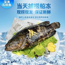 ʯ���~���r�����r����~����ϻ�����t�ڰ�����r��S���]���l