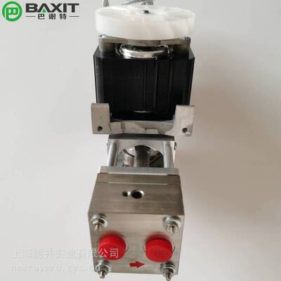 BAXIT PM31291-86.16 Мембранный вакуумный насос VOC, высокотемпературный насос для отбора проб, насос для отвода дымовых газов CEMS