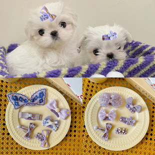 Pet Hair Clip Headwear That Does Not Fall Off, Special Broken Hair Clip bb Clip Stainless Steel Dog Headwear Set Cute Bow