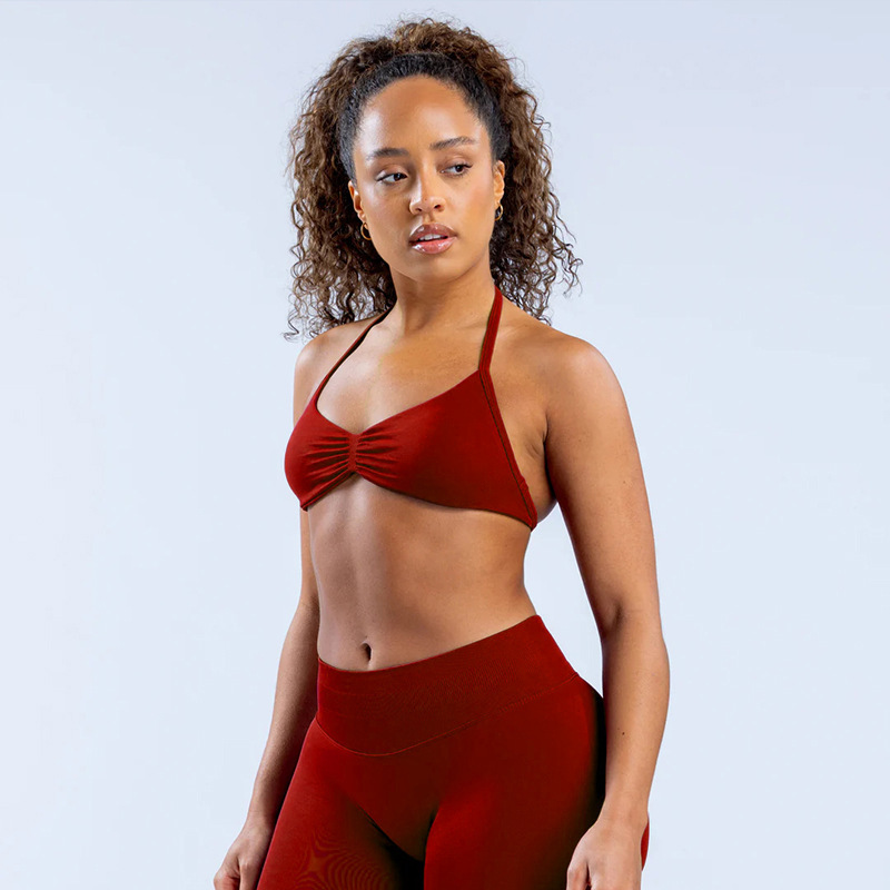 Seamless High-Impact Sports Bra – Ultra-Fine Matte Nylon, Halter Neck & Elegant Back Design, Maximum Support For Running, Yoga & Gym_desvips.com