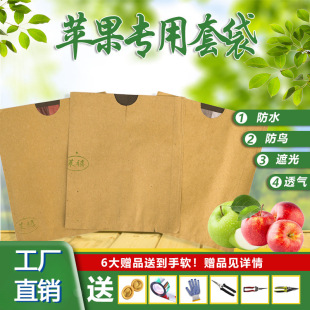 �O���״��t��ʿ�t��Ԫ���t��܊�ʼt��ˮ���B�¼t�Ǹ������o��