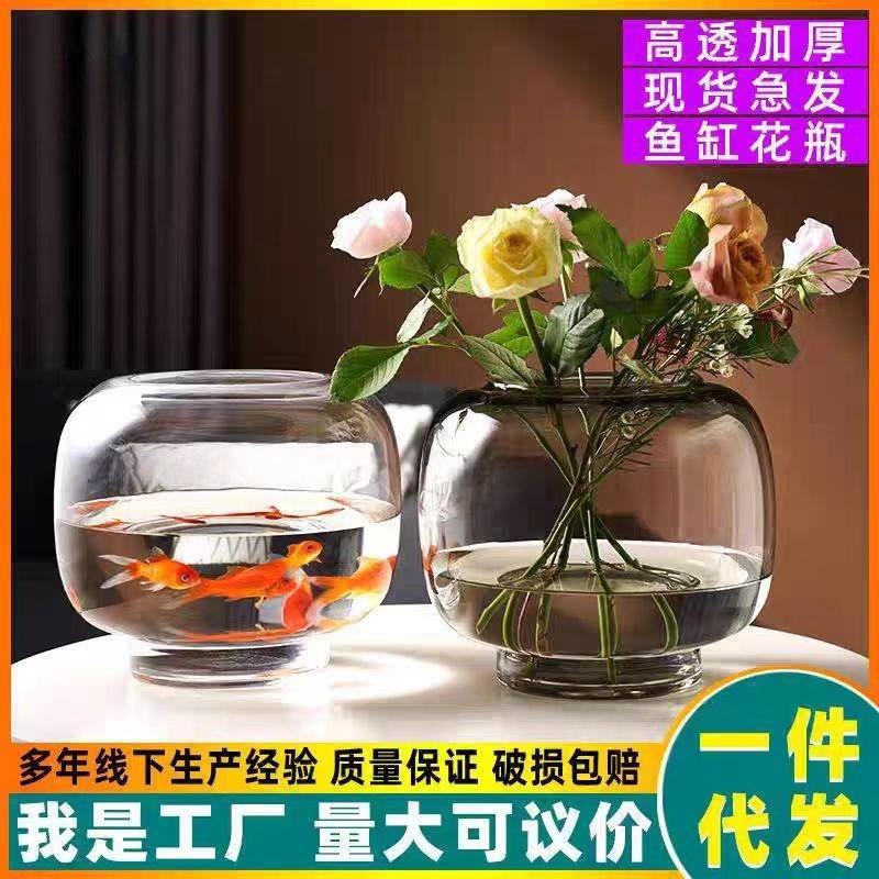 ins style round big belly glass vase simple creative hydroponic flower vase living room flower arrangement decoration crafts