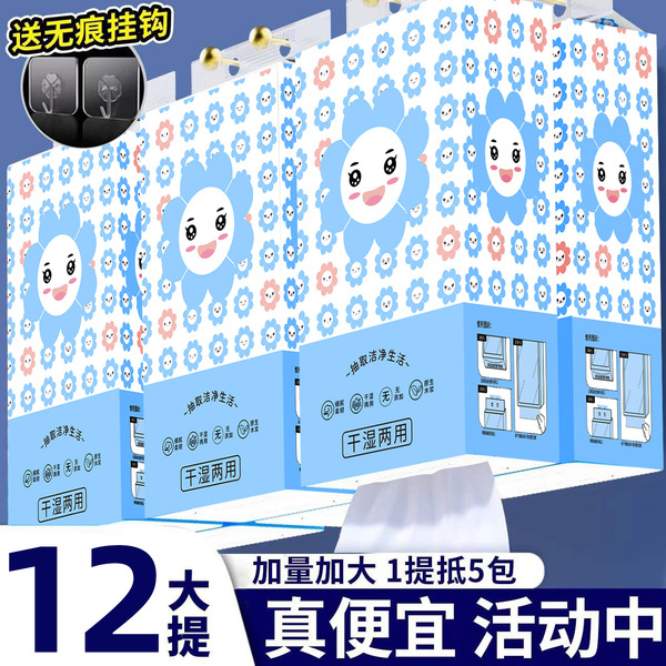 12 Large Lifting Hanging Paper Drawable Household Food Napkin Facial Tissue Wipe Toilet Paper Whole Carton Hair Tissue Toilet Paper
