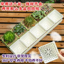 ֬⻨ڏС׷MώбP͸ֲÿظ