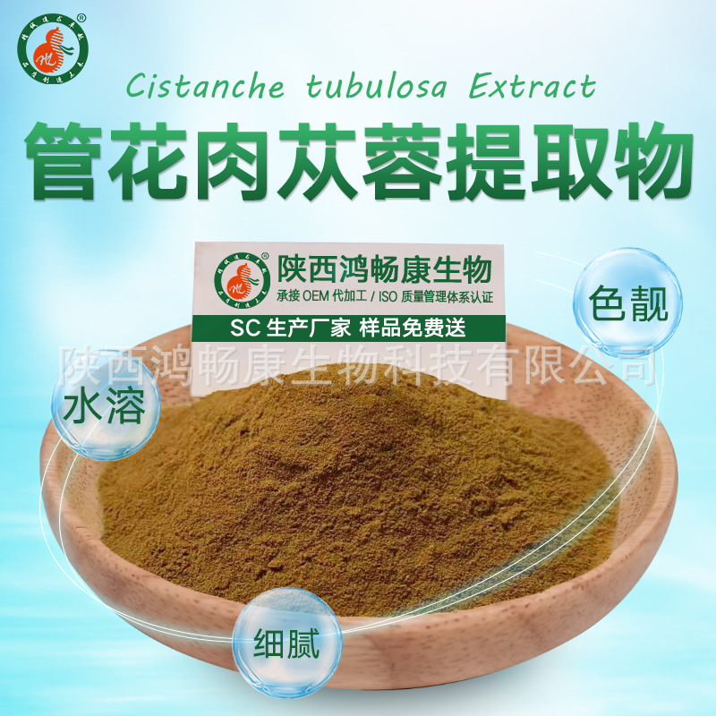 管花肉苁蓉提取物10:1 肉苁蓉粉 肉苁蓉黄酮 肉苁蓉皂甙