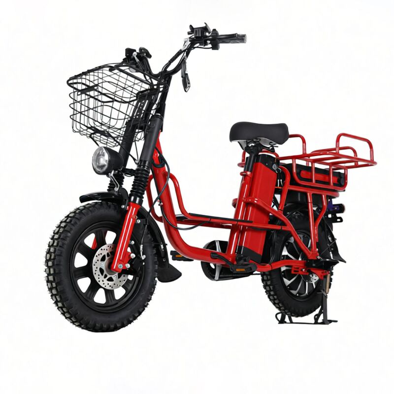 Factory Cheap 16-Foot Electric Vehicle for Cargo Delivery Wholesale, Long Range, 00W Lithium Battery, 48V Electric Bicycle