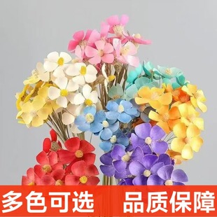 �W�t���_�m�������ֹ�ճ��ins��ˇ�����҃��b�������S��ֱ�N
