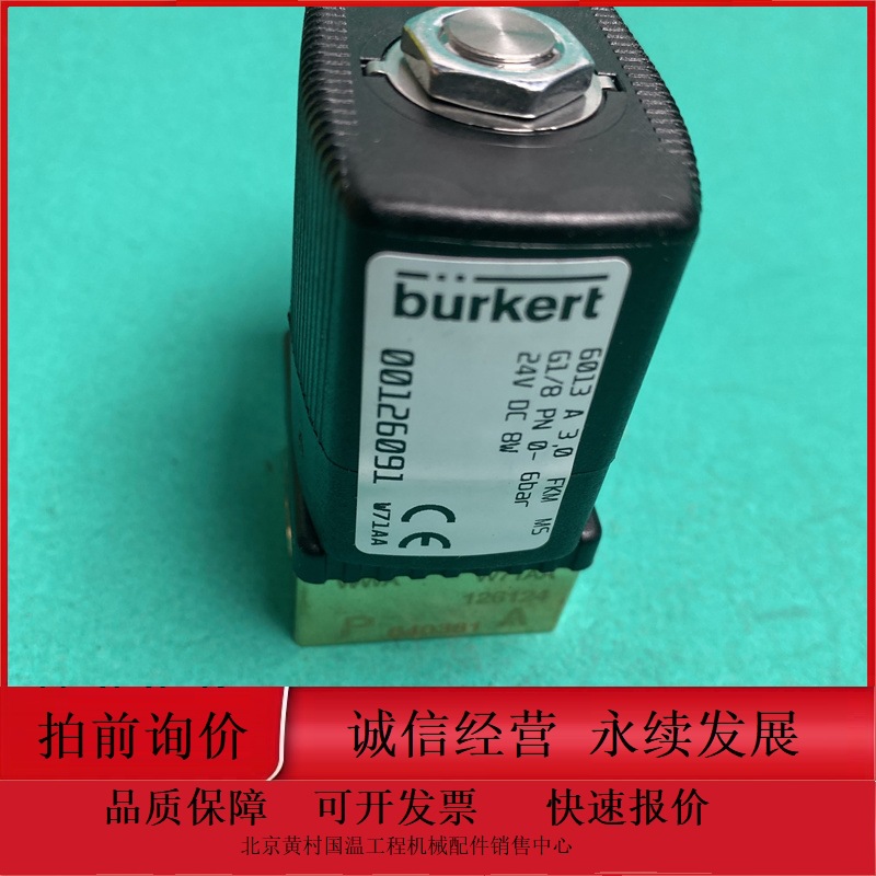 全新宝德6013电磁阀 A 00125301 00125309 125317 126091burkert