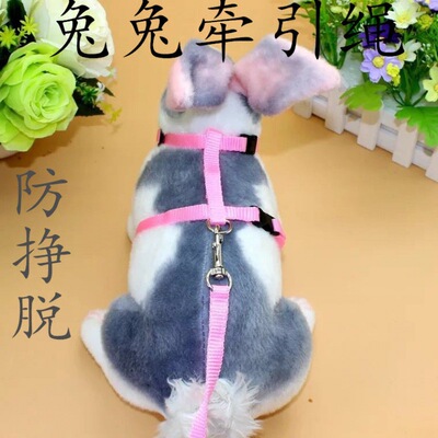 rabbit Traction rope Get rid of Bunny rope chain Rabbit rope slip Telescoping adjust Walking the rabbit rope rabbit Supplies