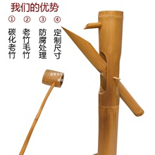 ˮ@¹BʽͥԺͲ̨ʯˮ쾰ѭhС@[