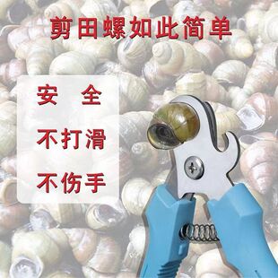 �S�����l�ݼ������ݪ{��β���ü���ʯ�������ݶ๦��ȥβ��������