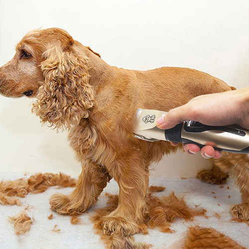 Cross-border pet electric clippers electric razor dog hair trimmer cat hair remover hair cutter dog hair cutting razor