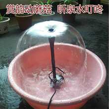 ��Ģ��С��Ȫ���bͥԺˮ�ؾ��^�߇�Ȫ���^����ѭ�h��ˮ��Ȫ��