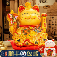 20cm23cm24cm�в�è�ڼ���ҵ����������¡�Զ�ҡ�ֵ�����������è