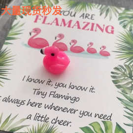 独立站新品Mini Flamingo Pocket Hug!