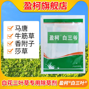 �����������~��ƺ���݄������~��~ɯ�ݿ��s���R�ư޲�ˮ����