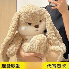 かわいい結婚記録ウサギぬいぐるみ人形超かわいいなだめるウサギ人形枕女の子インターネット有名人