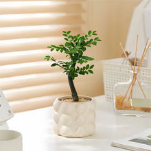 С�~��̴ϡ�����Fֲ�ﱱ�W�k���҃���X����Gֲ�������ԃ����՚�