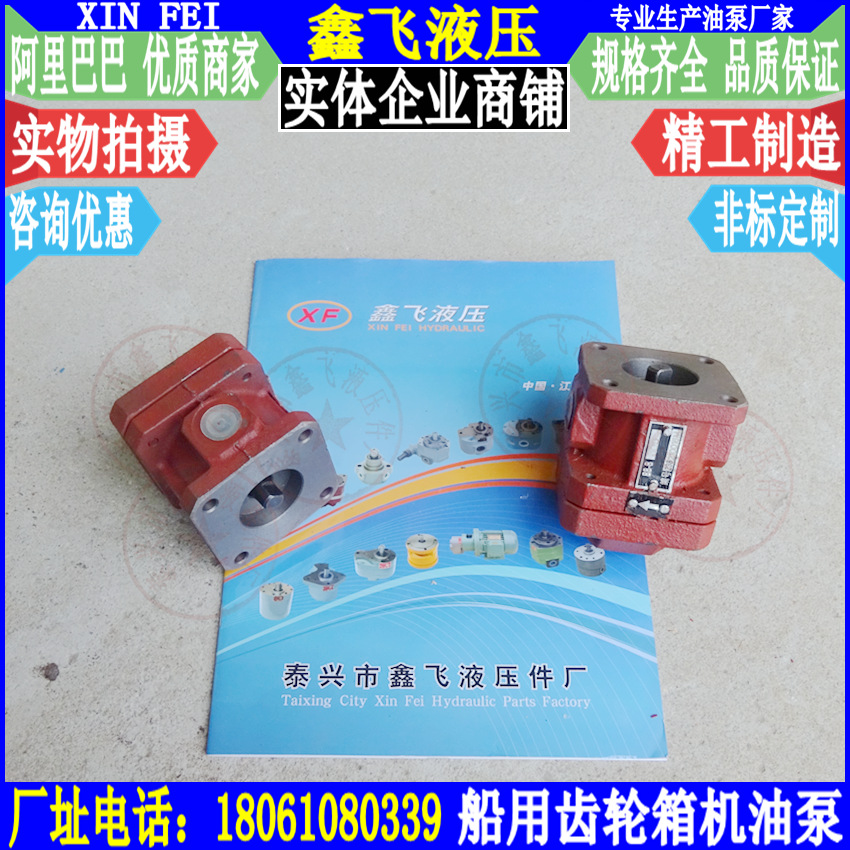 BB-B10D杭齿前进奋进MA100/MA125/MA142船用齿轮箱机油泵波箱油泵