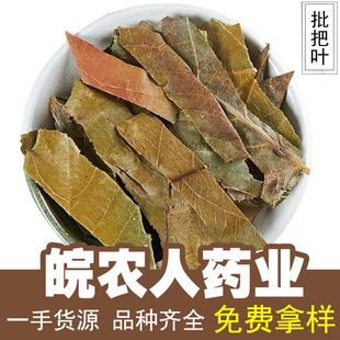 批把叶500克枇杷叶干货批把子琵琶叶泡茶中药材大全代发批发-阿里巴巴
