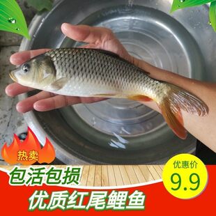���~�絾�����~ˮ�����~�tβ���~��ˮ�Bֳ�a�~��t���~���~�����~