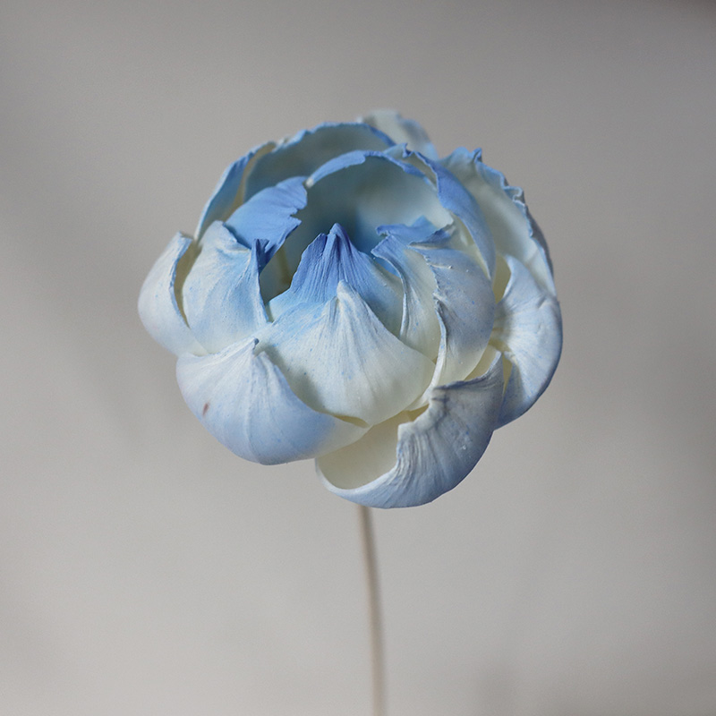 Una flor de peonía de hierba azul cielo
