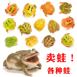 ���ܻ����ݮ�ϹϾG����ԭɫ׃����ѩ�t�R�G����С���܌�����