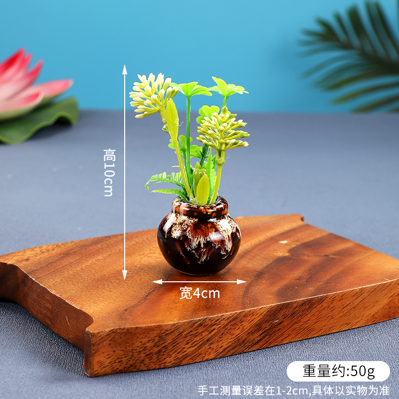 酒店菜品摆盘装饰点缀冷菜装饰花草摆盘刺身绿毛球三文鱼摆件围边|undefined