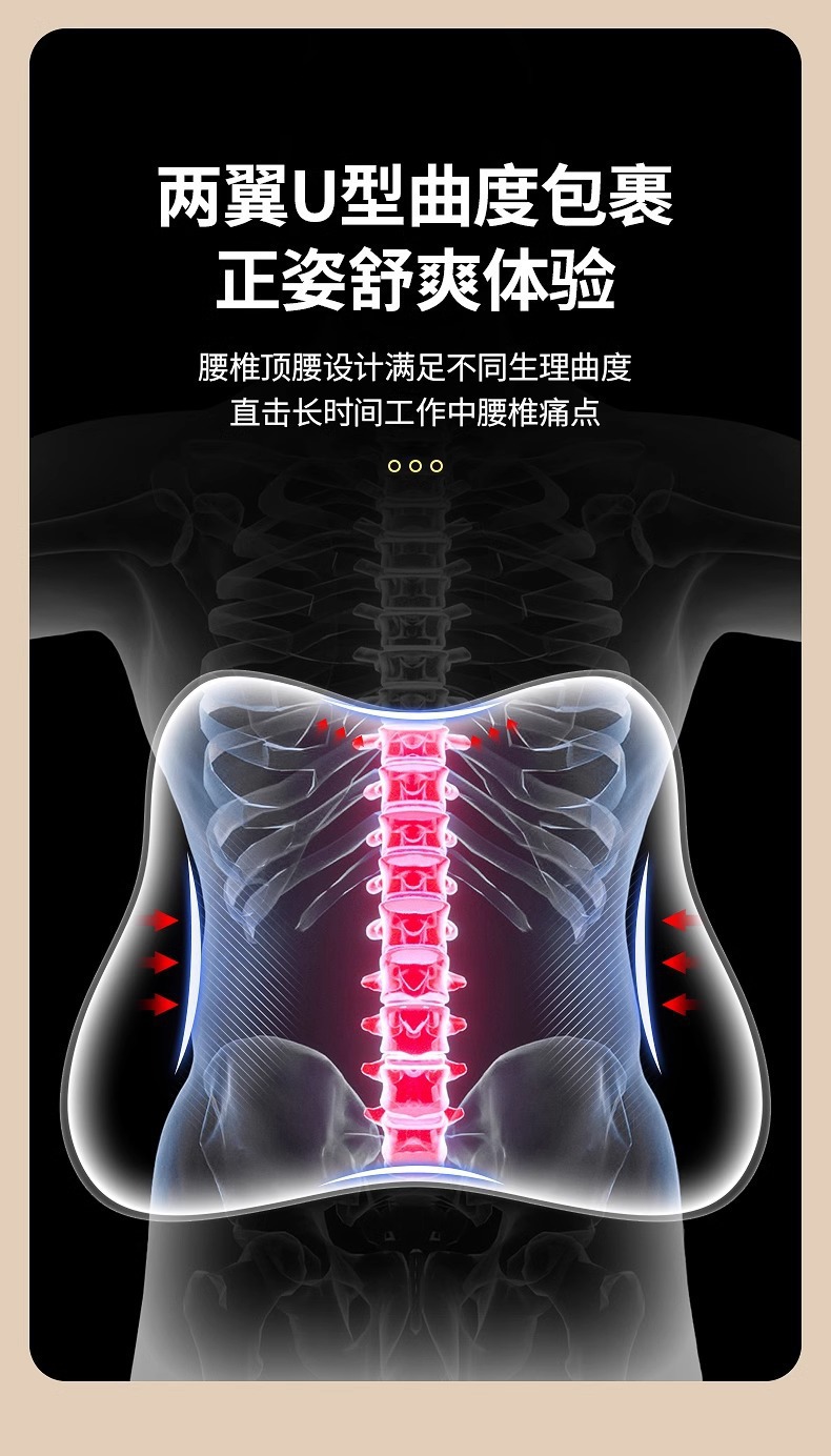 Zhebao Lumbar Support Pillow Cushion Seat Backrest for Long Sitting Posture Correction - Exclusive from the Source Manufacturer