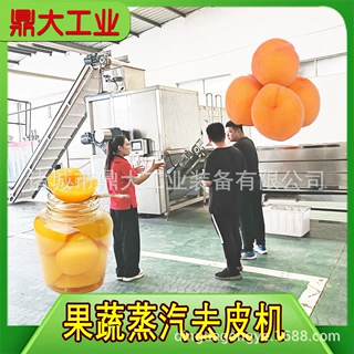 蒸汽去皮机隆坤黄桃葡萄加工设备罐头食品全自动加工流水线脱皮机