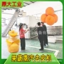 蒸汽自动罐头葡萄去皮机