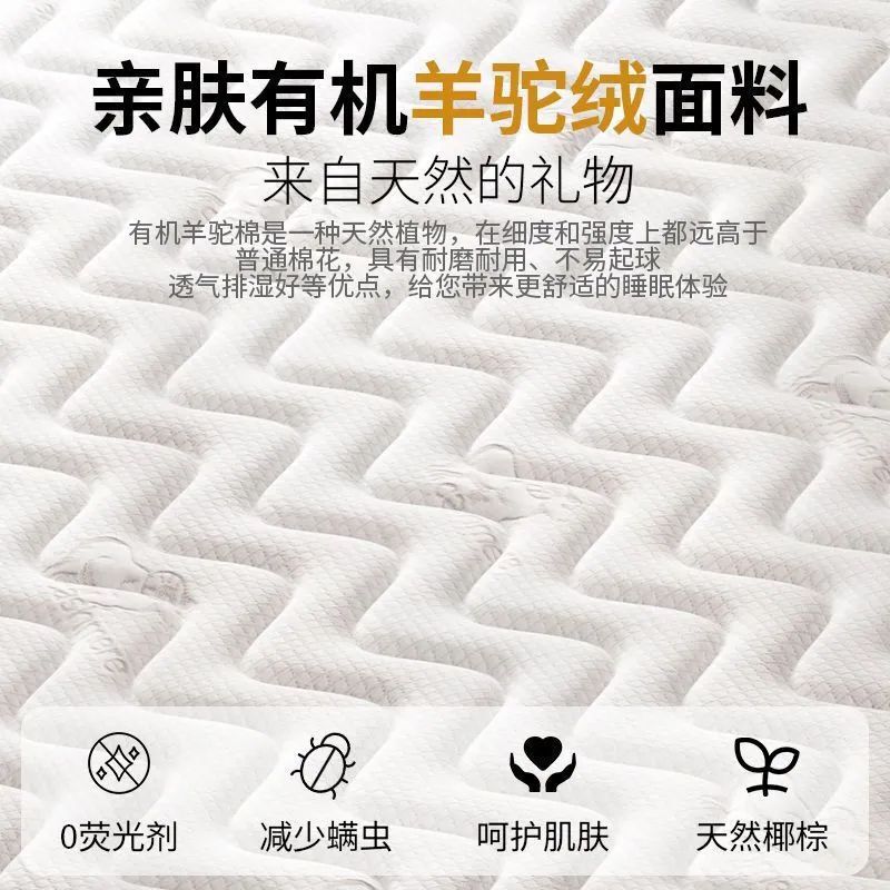 Tatami Mattress Size Latex Coconut Palm Tatami Mat Soft Cushion Home Bedroom Special Mattress Cross-Border