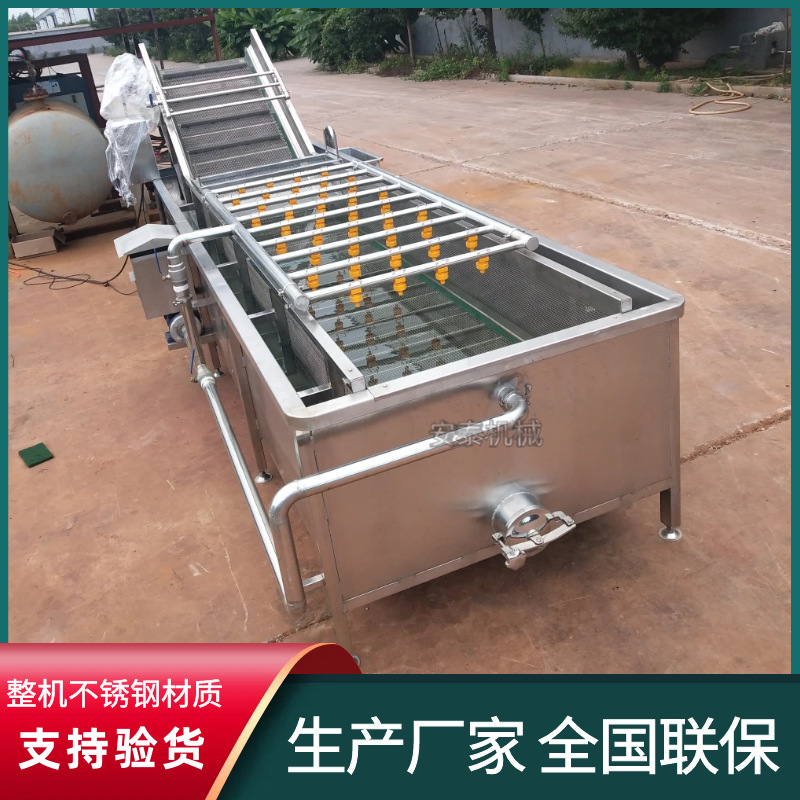 韭菜高压喷淋气泡清洗机 草莓涡流清洗机 山楂全自动喷淋清洗机