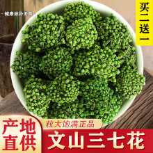 云南三七花正品官方旗舰店文山特产林下正宗野生降中药材压茶田七
