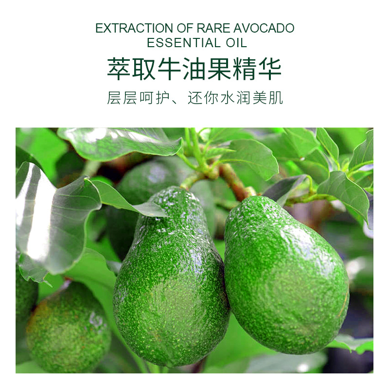 Boquanya aguacate tierna loción corporal hidratante refrescante no grasa anti-secado loción corporal al por mayor image 2
