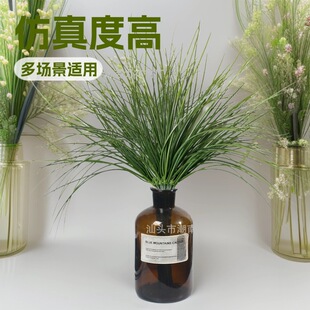 ���[�����l�ٲ�С�ݼ������Ԕ[���Gɫ�쾰��c�b�ˇ��������